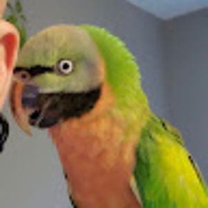 Meet your Posher, Jonathan